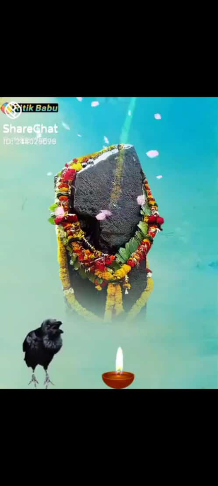 Sani Jayanti Mahotsav